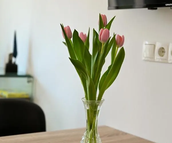 Art アパート トロギール