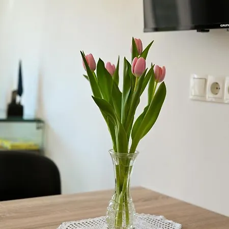 Art Διαμέρισμα Τρογκίρ